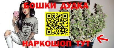 крисы Гагарин
