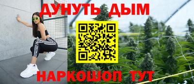 крисы Гагарин