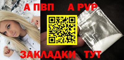 спайс Гай
